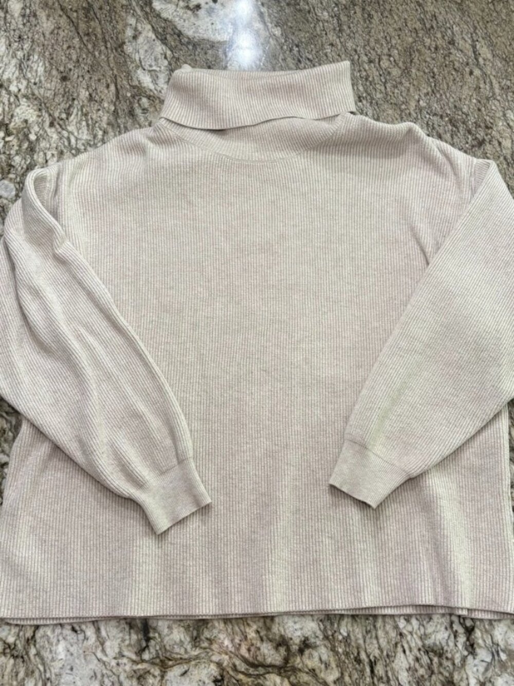 Free People Turtleneck Sweater